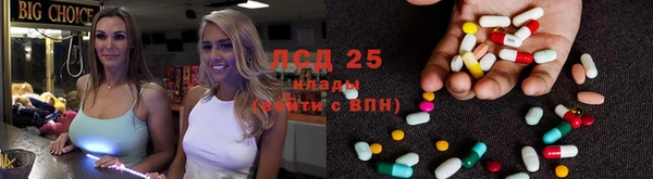 гидра Видное