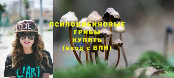 гашик Протвино