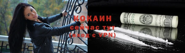 ПСИЛОЦИБИНОВЫЕ ГРИБЫ Приозерск