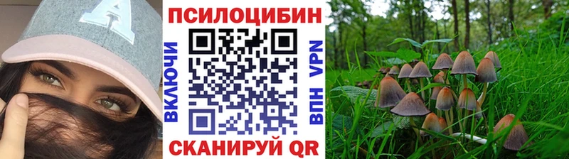 хочу   Черноголовка  Галлюциногенные грибы Cubensis 